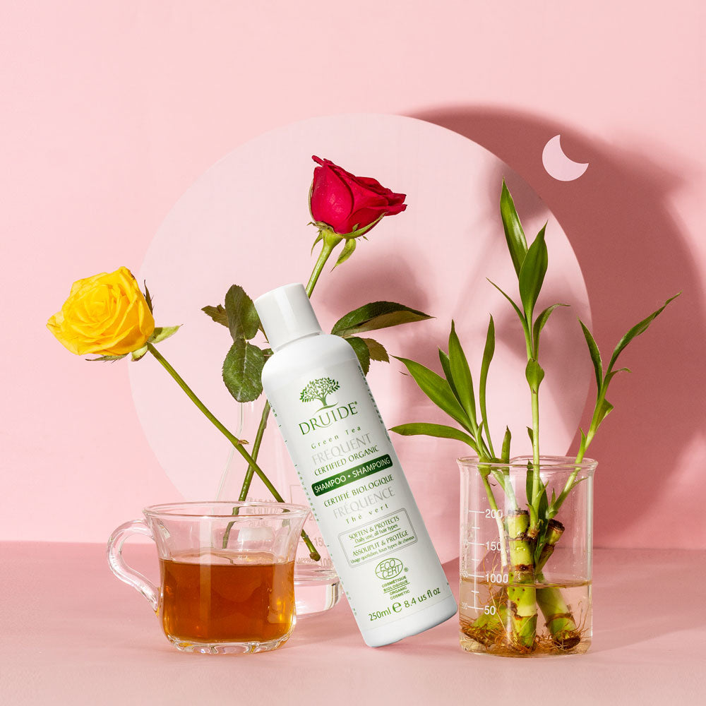 Druide Green Tea Frequent Use Shampoo (250 ml) surrounded by natural ingredients: green tea, chamomile, linden, lemon myrtle, bamboo, rosewood. © 2024 HQBASICS Ltd, United Kingdom (trading as Hearthonia). All rights reserved.
