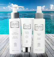 Banishing Blemishes: The Cleansing Crew